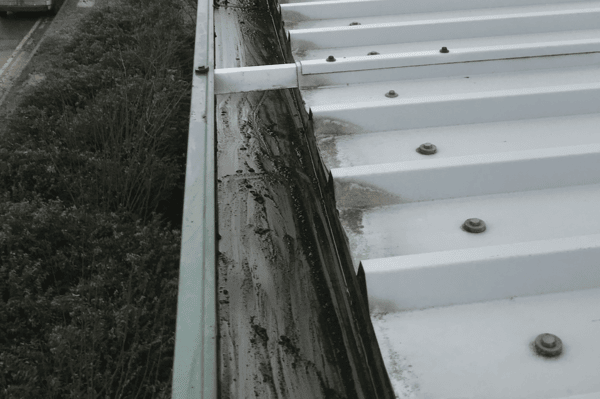 Commercial gutter cleaning specialists in Reigate